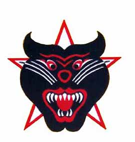 Logo of The Vietnamese Ranger